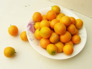 chinese_new_year_–_flowers_and_fruit82a378a871e6d552888c